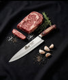 Rohaan 9" Professional Butcher & Chef Knife | J2 Stainless Steel Full Tang | Ergonomic Pakka Wood Handle | Butt Son’s Cutlers